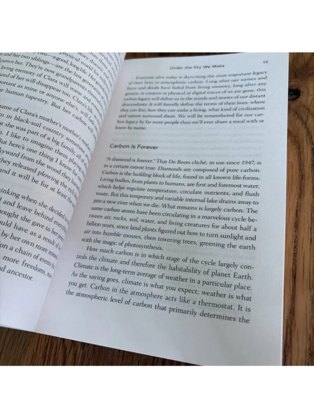 Under the Sky We Make: How to Be Human in a Warming World by Kimberly Nicholas